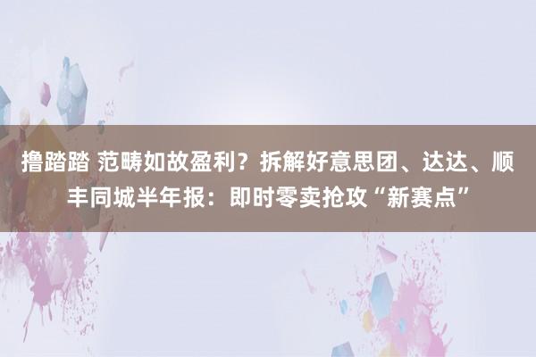 撸踏踏 范畴如故盈利?拆解好意思团、达达、顺丰同城半年报:即时零卖抢攻“新赛点”