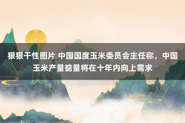 狠狠干性图片 中国国度玉米委员会主任称，中国玉米产量掂量将在十年内向上需求