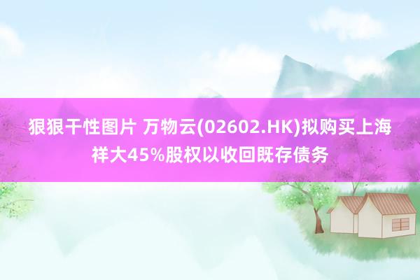 狠狠干性图片 万物云(02602.HK)拟购买上海祥大45%股权以收回既存债务