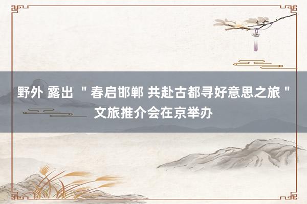 野外 露出 ＂春启邯郸 共赴古都寻好意思之旅＂文旅推介会在京举办